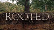 rooted